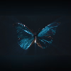 Understanding the Butterfly Effect in Chaos Theory