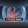 Exploring the Decision to Freeze My Eggs