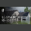 もし1年間毎日雨が続いたら?