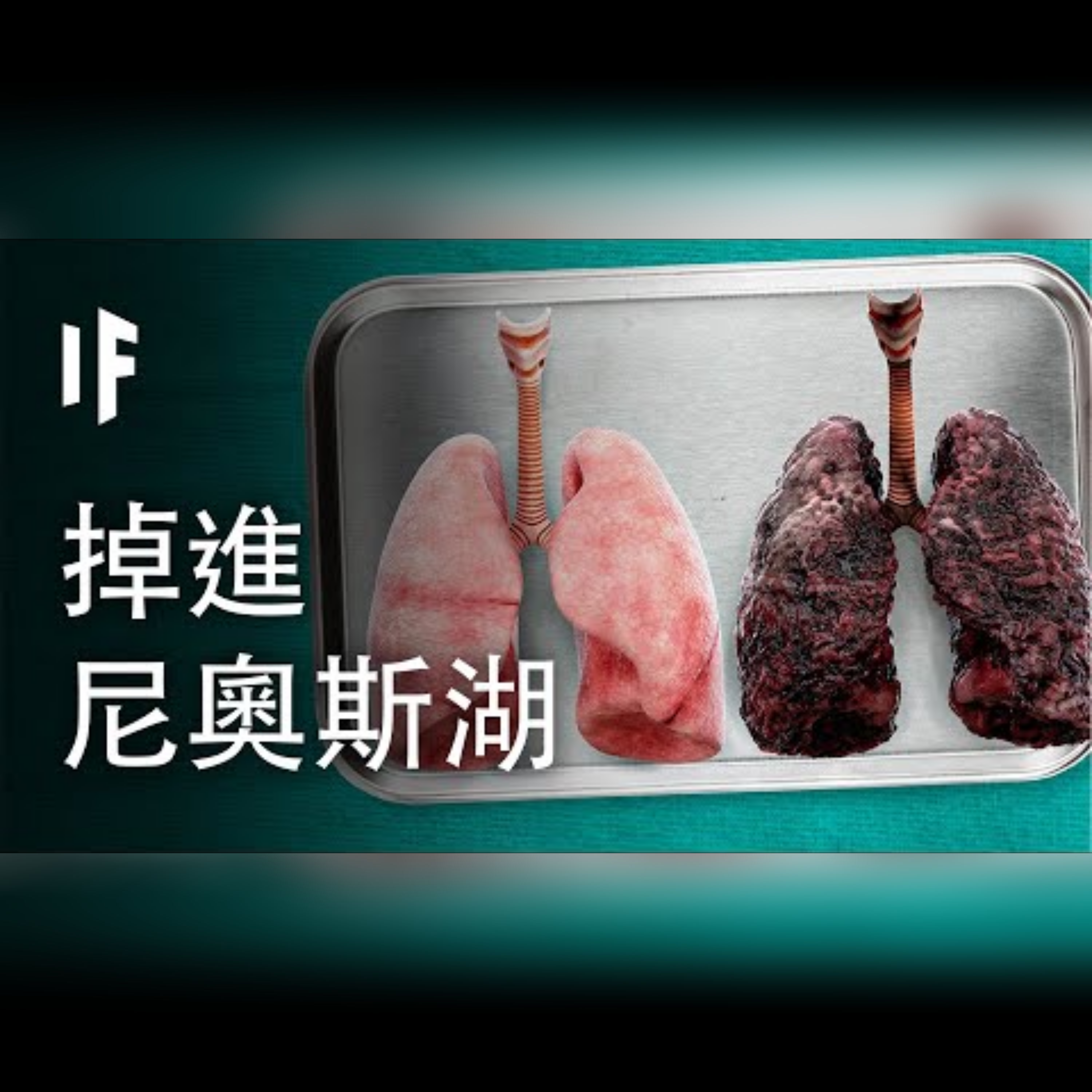 如果你掉進尼奧斯湖【中文字幕】｜大膽科學