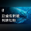 如果巨齒鯊對戰利維坦鯨【中文字幕】|大膽科學