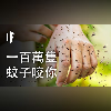 如果有一百萬隻蚊子咬你【中文字幕】|大膽科學