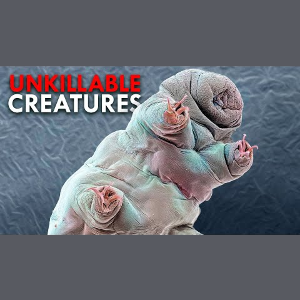 The Animals That Just Won’t Die