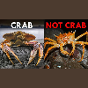 Crabs Are Not What You Think