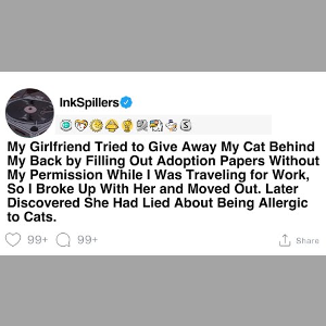 Girlfriend Attempted to Rehome My Cat Without My Consent