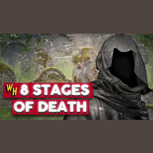 The 8 Stages of Death: What Really Happens When You Die