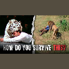 Survive a Wild Cat Attack: Essential Tips and Insights