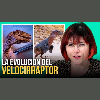 Cómo se veía en realidad el velocirráptor