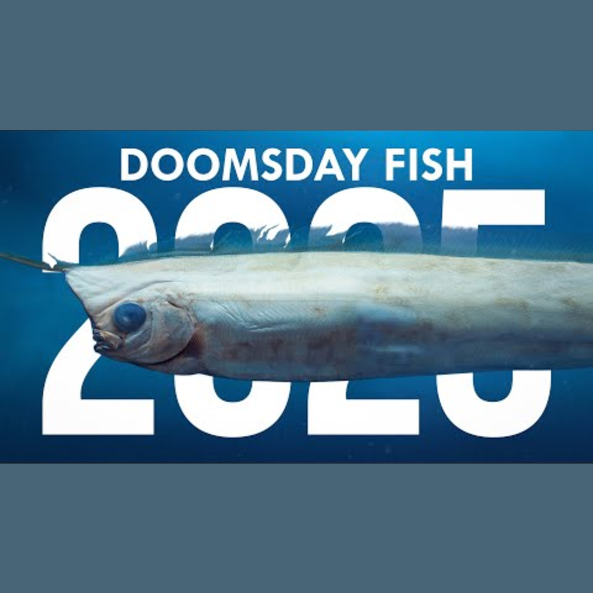 Everything We Learned About Animals and Life on Earth This Year